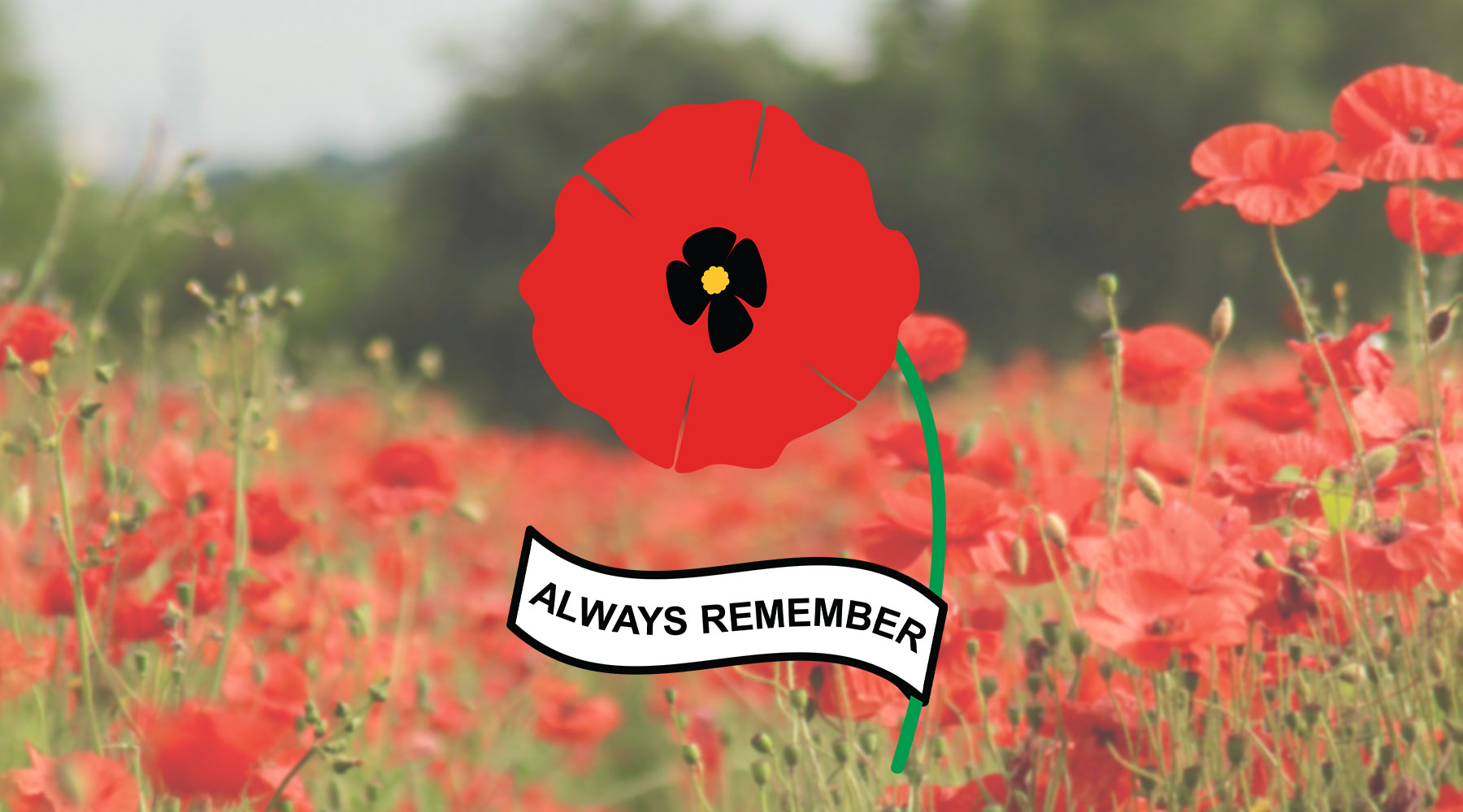 Poppy Cut Files Free Remembrance Day Poppy Cut Files | Kelly Lollar Designs