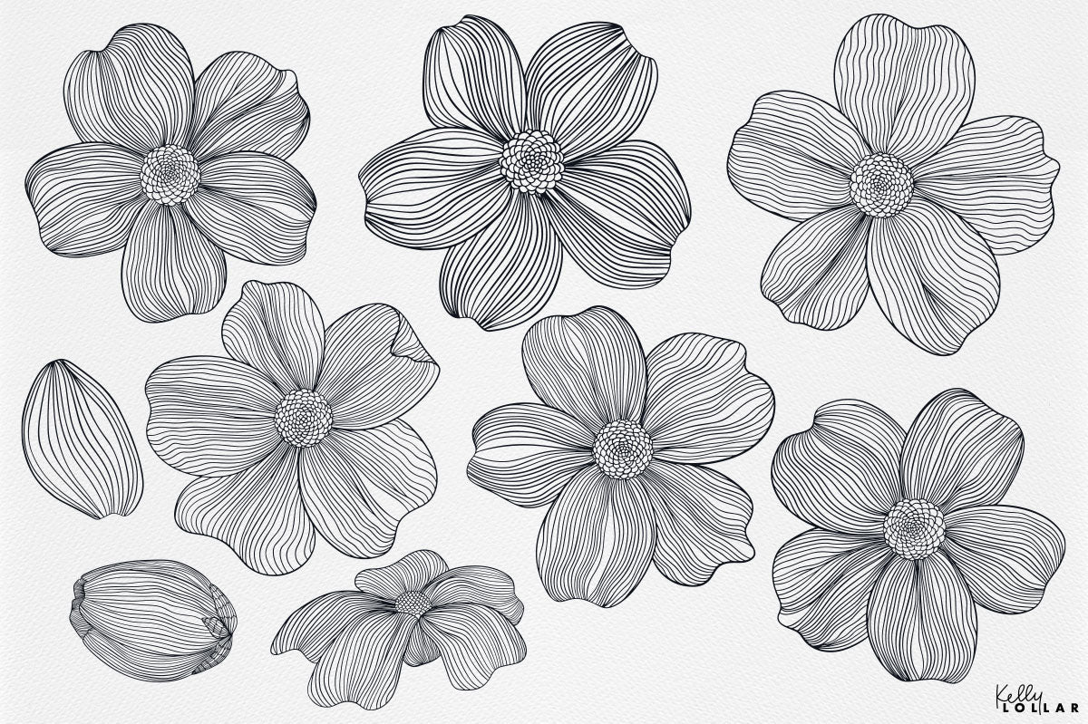 Dogwood flower motifs by Kelly Lollar