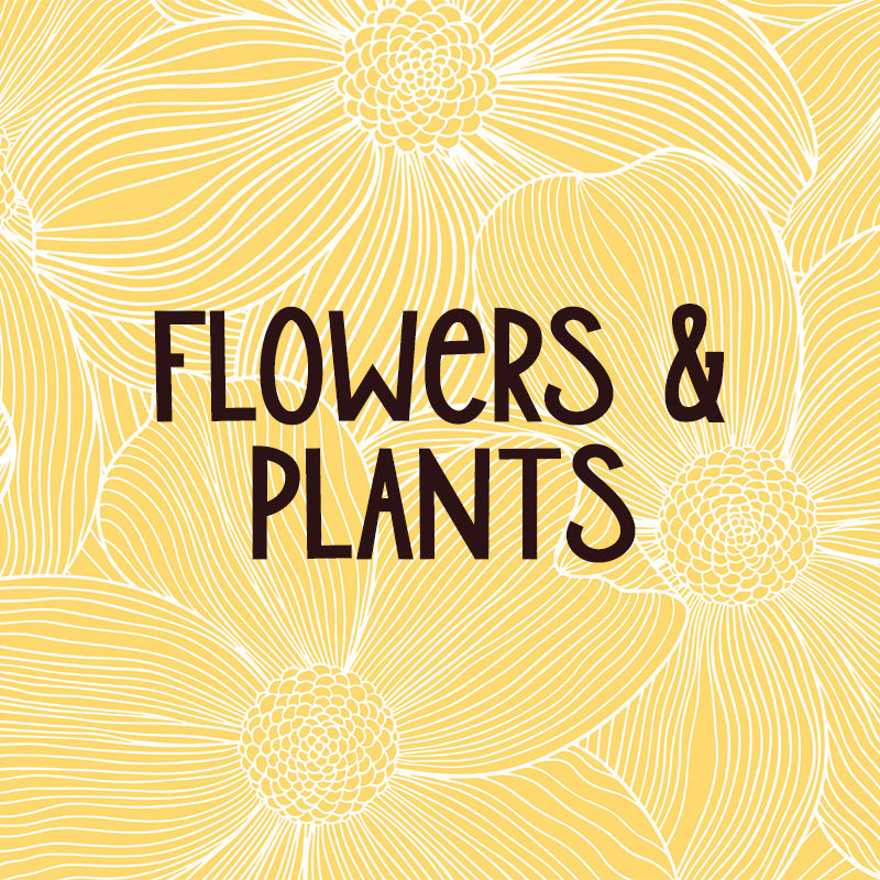 Flowers and Plants Portfolio Page Link