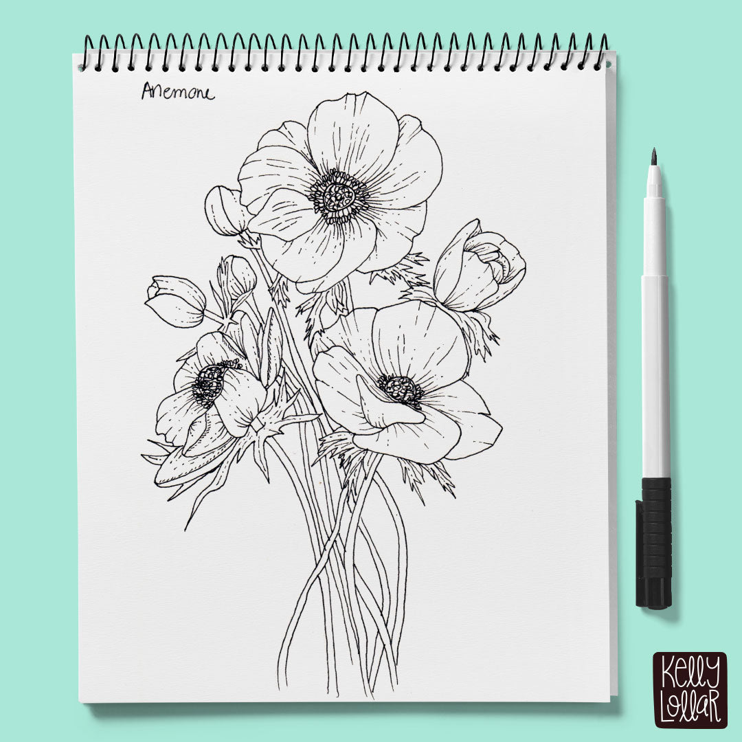 Year of Flowers Sketchbook Anemone in ink by Kelly Lollar